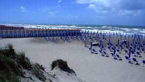 /api/file/public/263117/21493