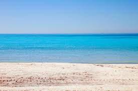 /api/file/public/263117/21494