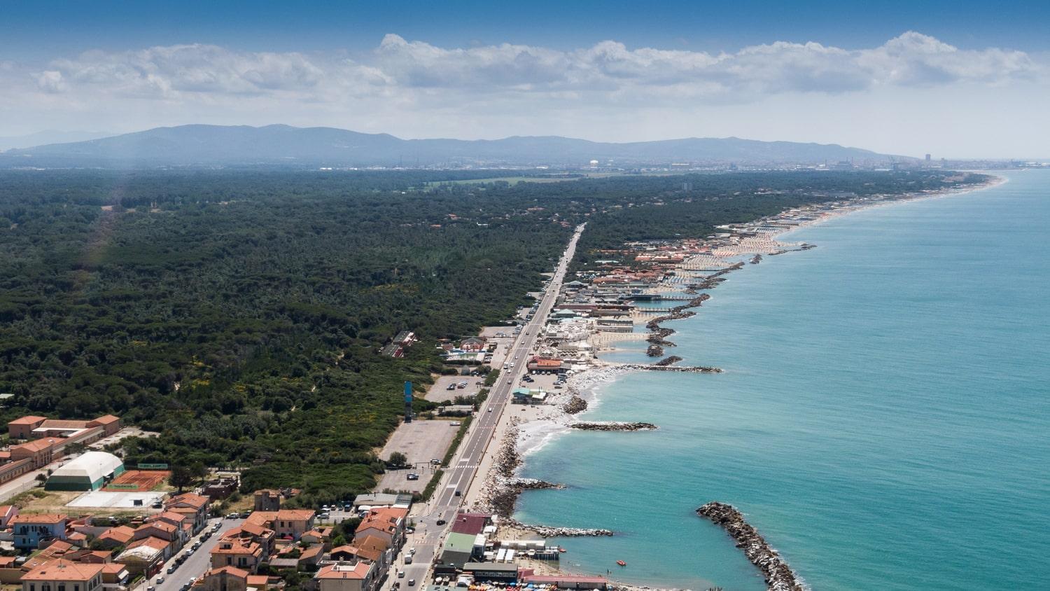 /api/file/public/263117/21496