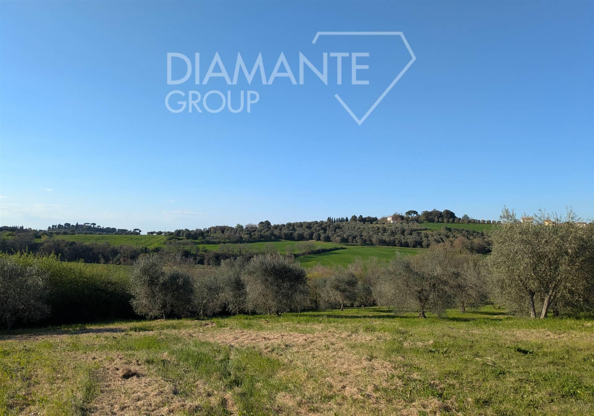 /api/file/public/263123/21518