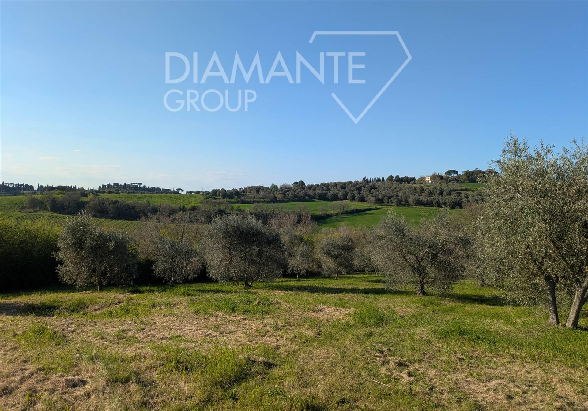 /api/file/public/263123/21519