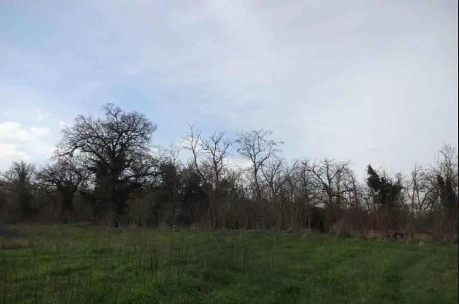 /api/file/public/263124/21520