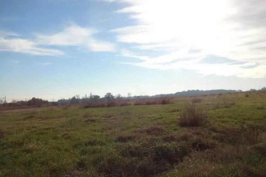 /api/file/public/263124/21521