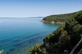 /api/file/public/263131/21548