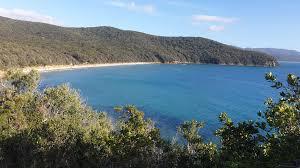 /api/file/public/263131/21550