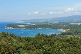 /api/file/public/263131/21551