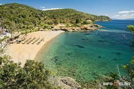 /api/file/public/263152/21605