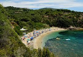 /api/file/public/263152/21608