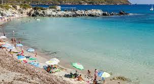 /api/file/public/263152/21609