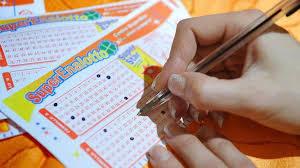 /api/file/public/263157/21655