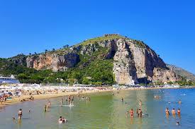 /api/file/public/263214/25507