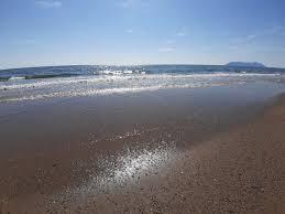 /api/file/public/263214/25510