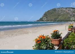 /api/file/public/263214/25512