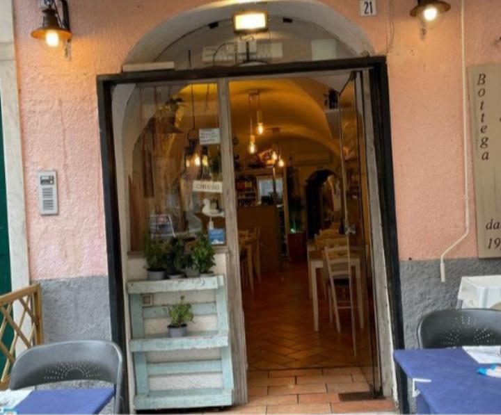 /api/file/public/263228/21914