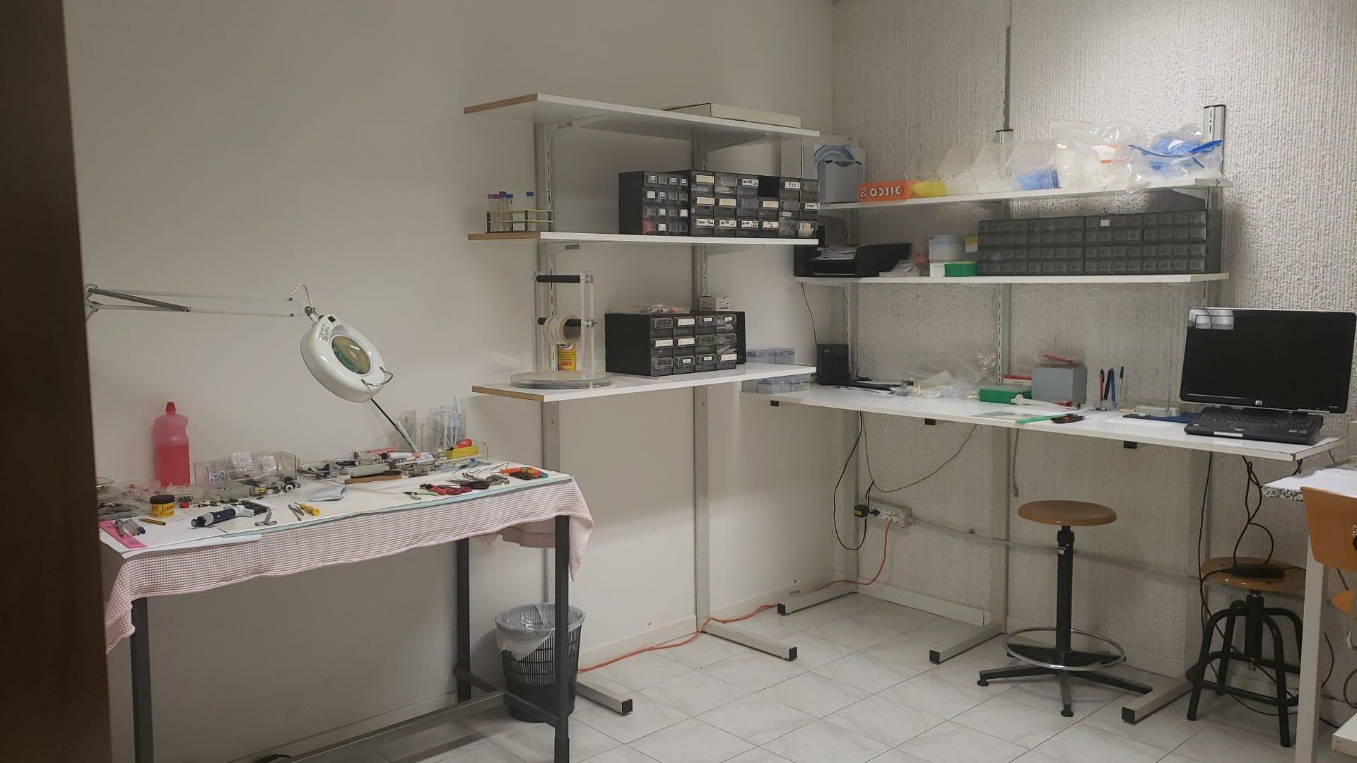 /api/file/public/263247/21952