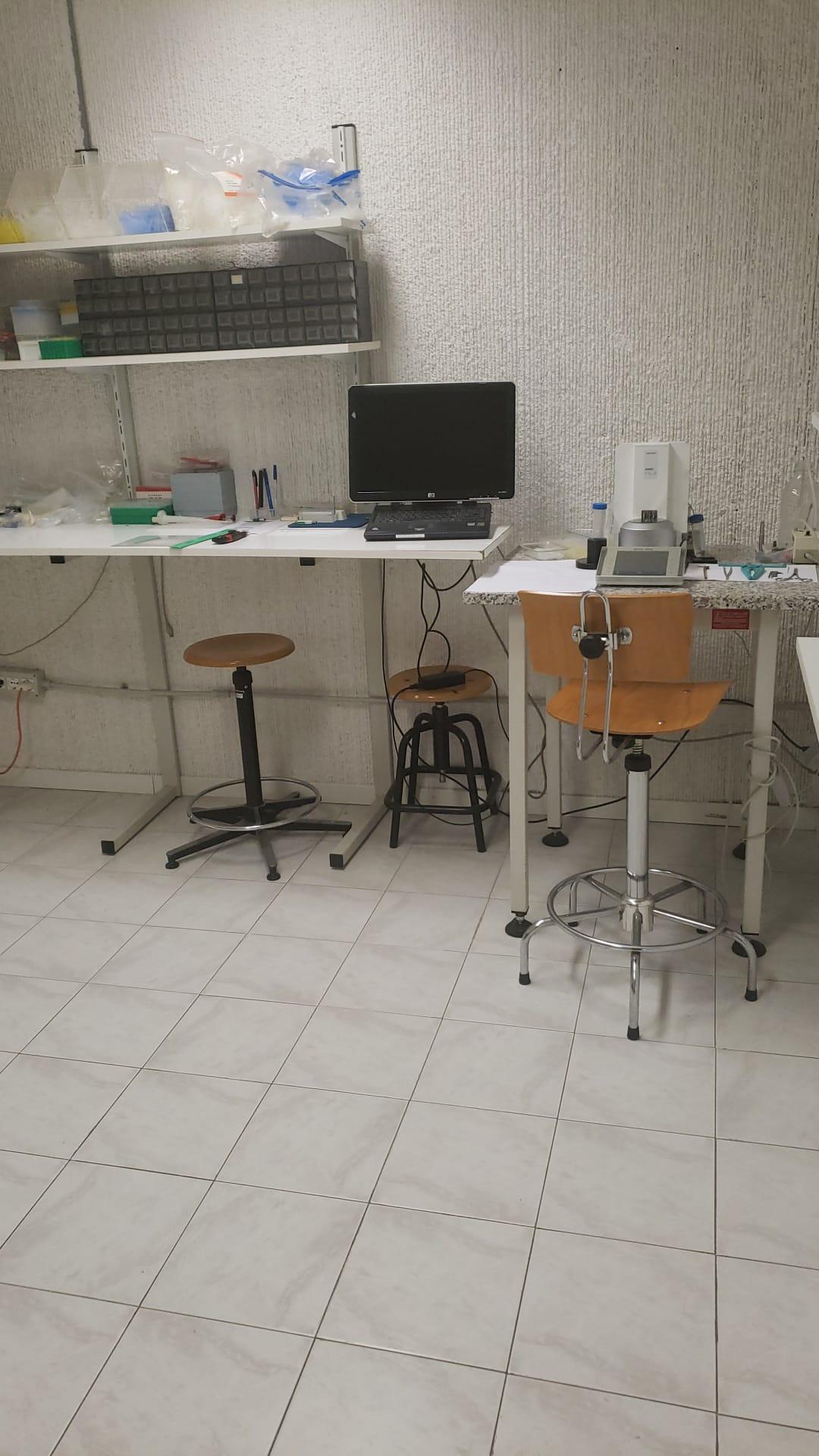 /api/file/public/263247/21953