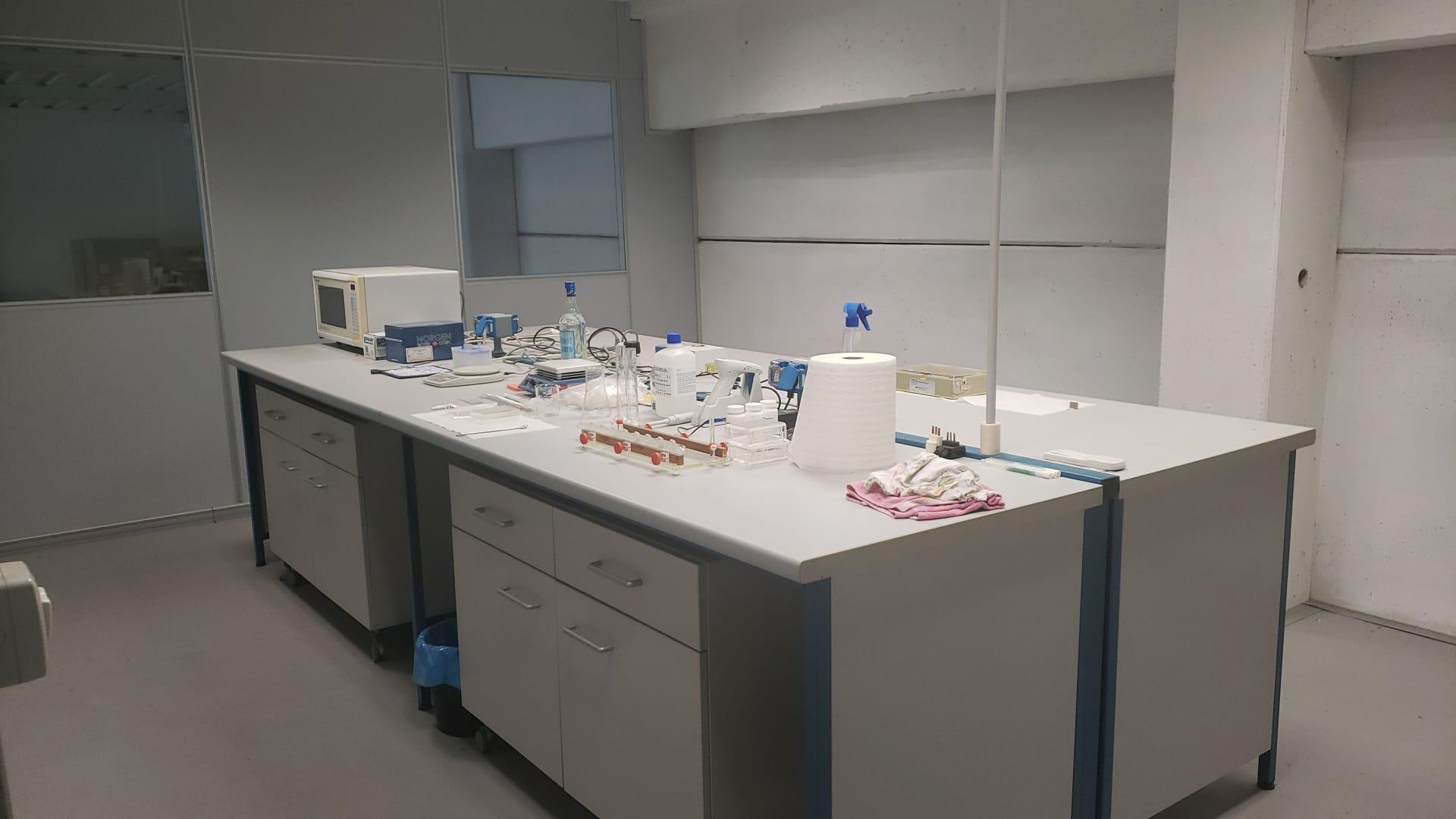 /api/file/public/263247/21955