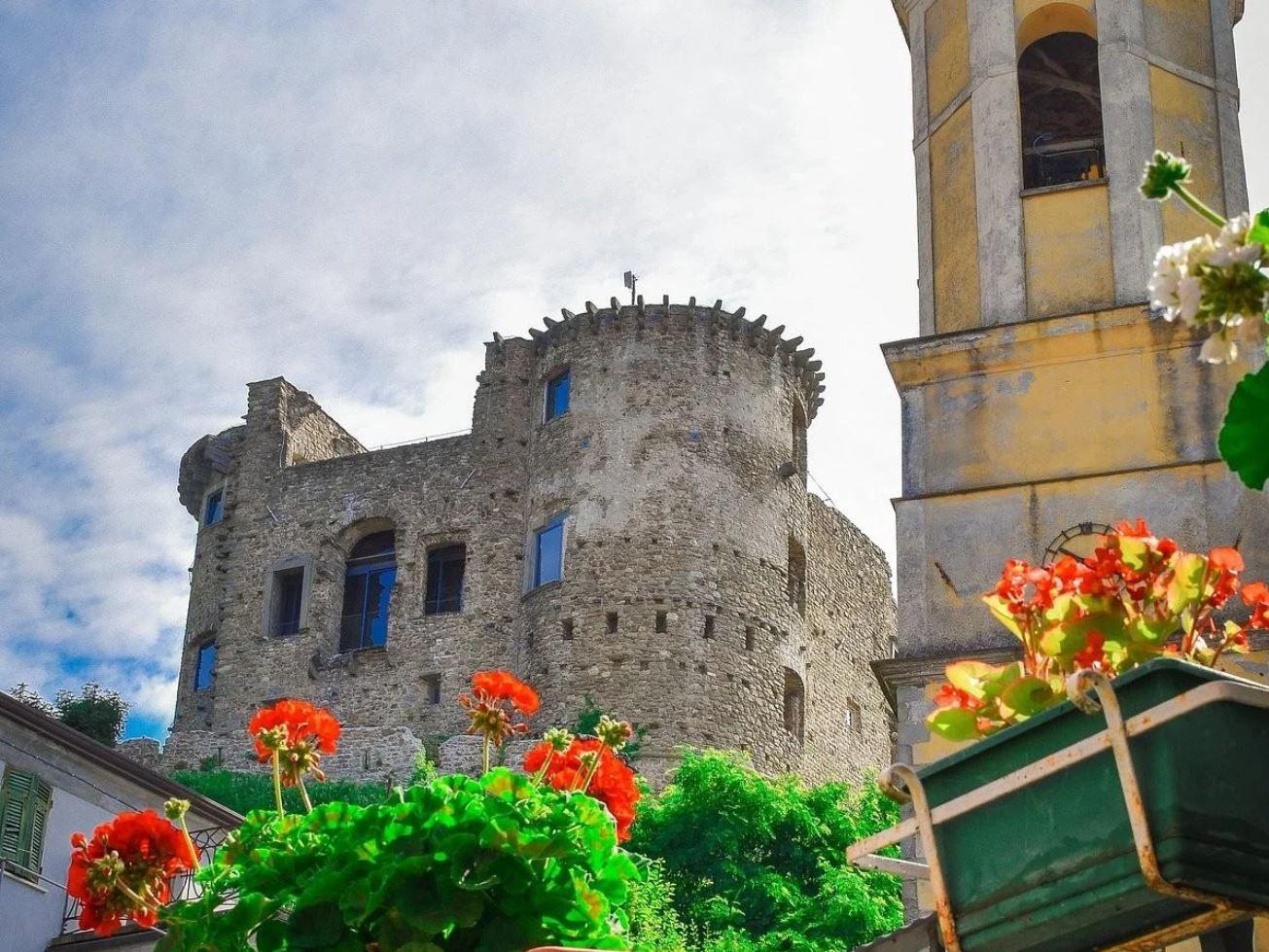 /api/file/public/263252/22012