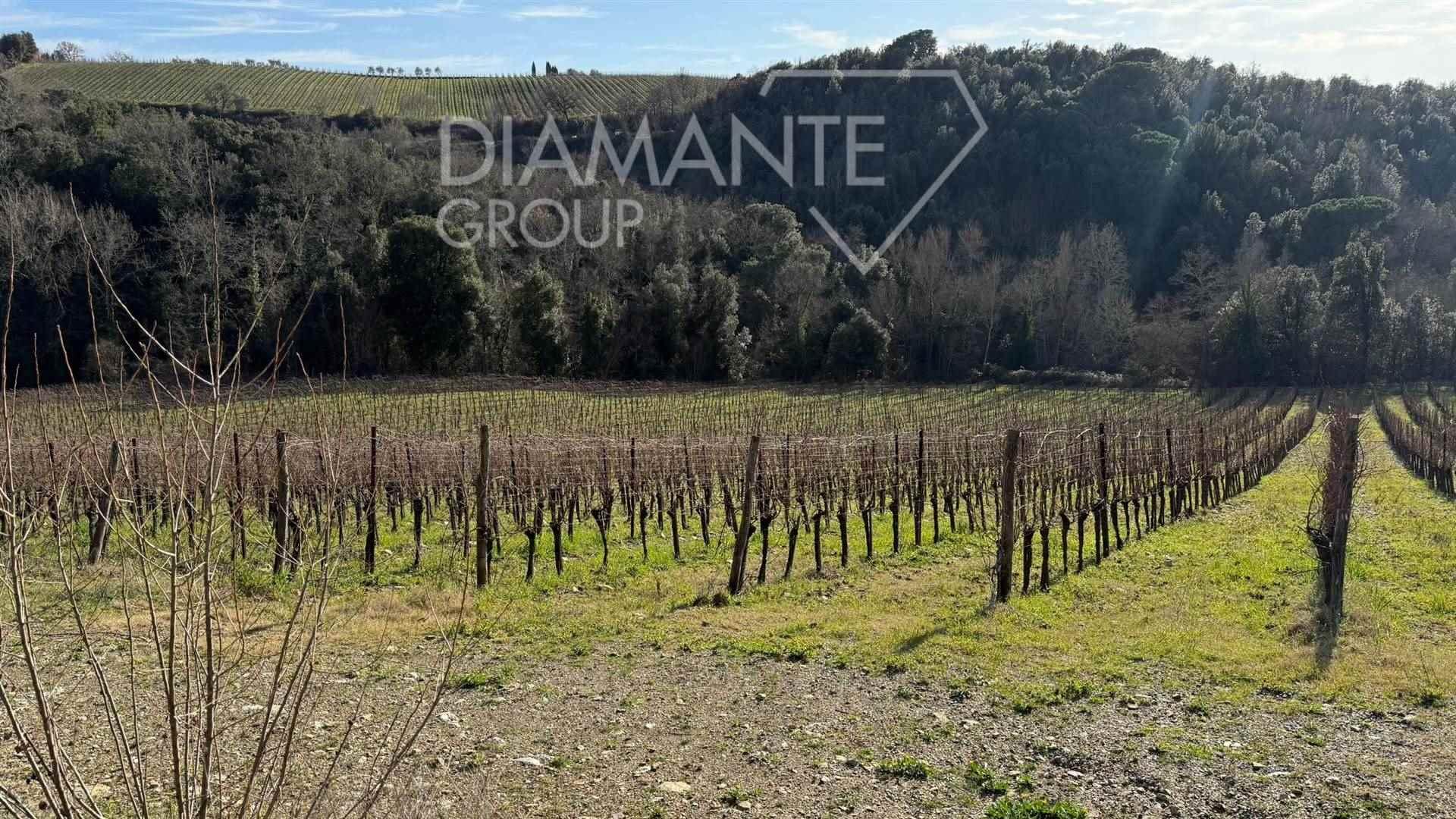 /api/file/public/263253/22013