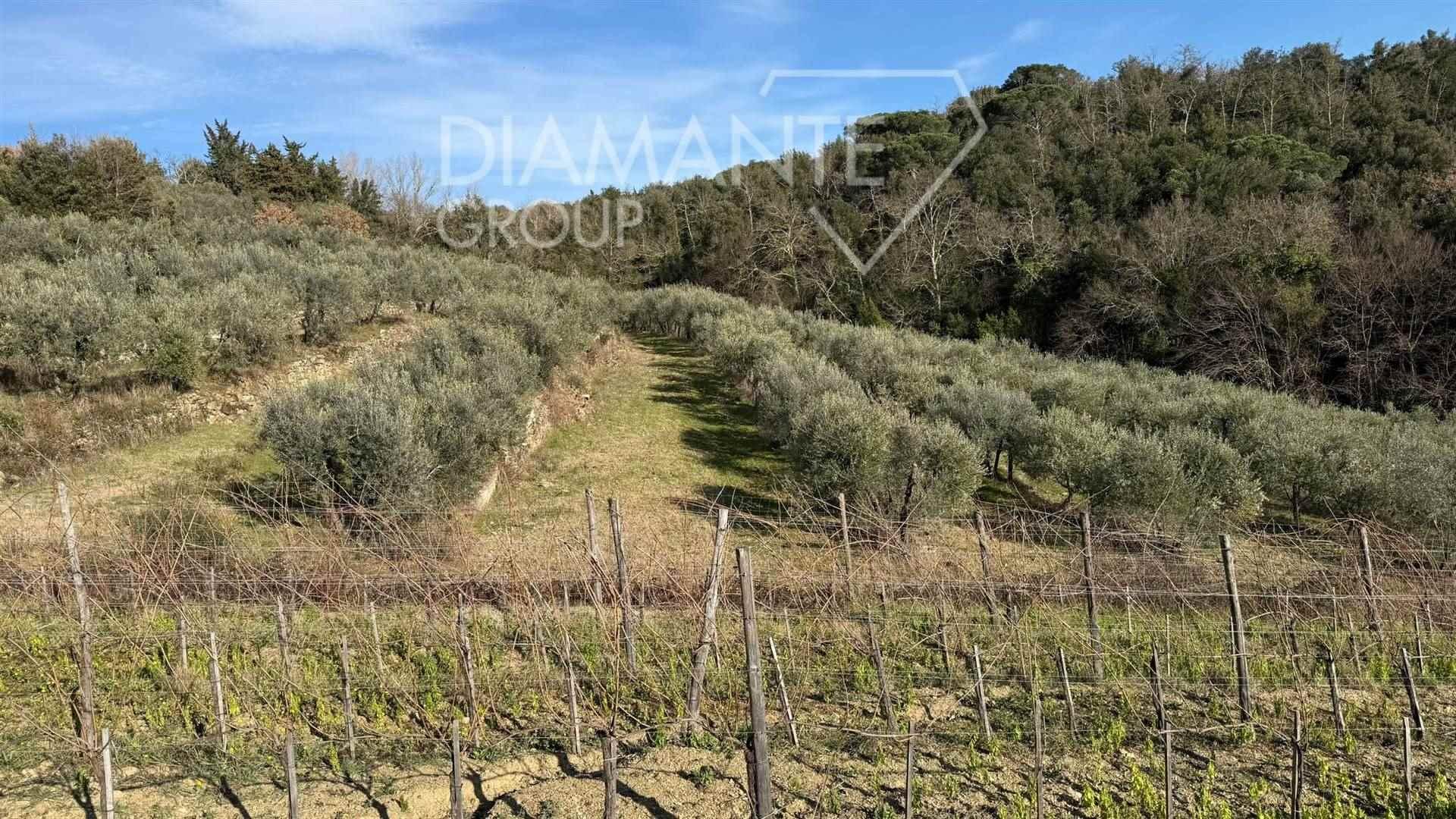 /api/file/public/263253/22014