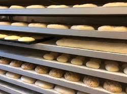 /api/file/public/263379/22203