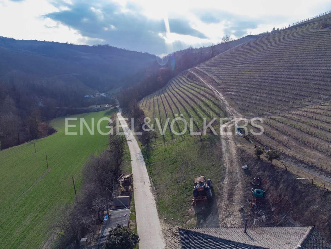 /api/file/public/263387/22217