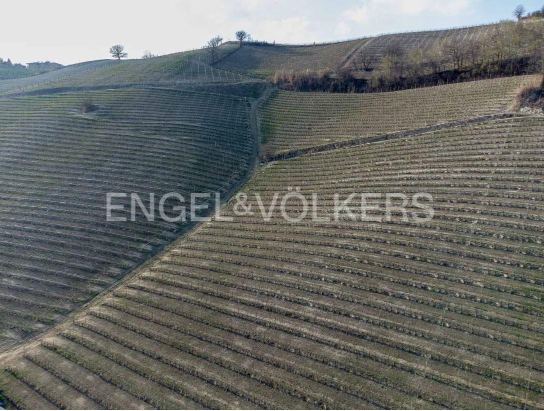 /api/file/public/263387/22218