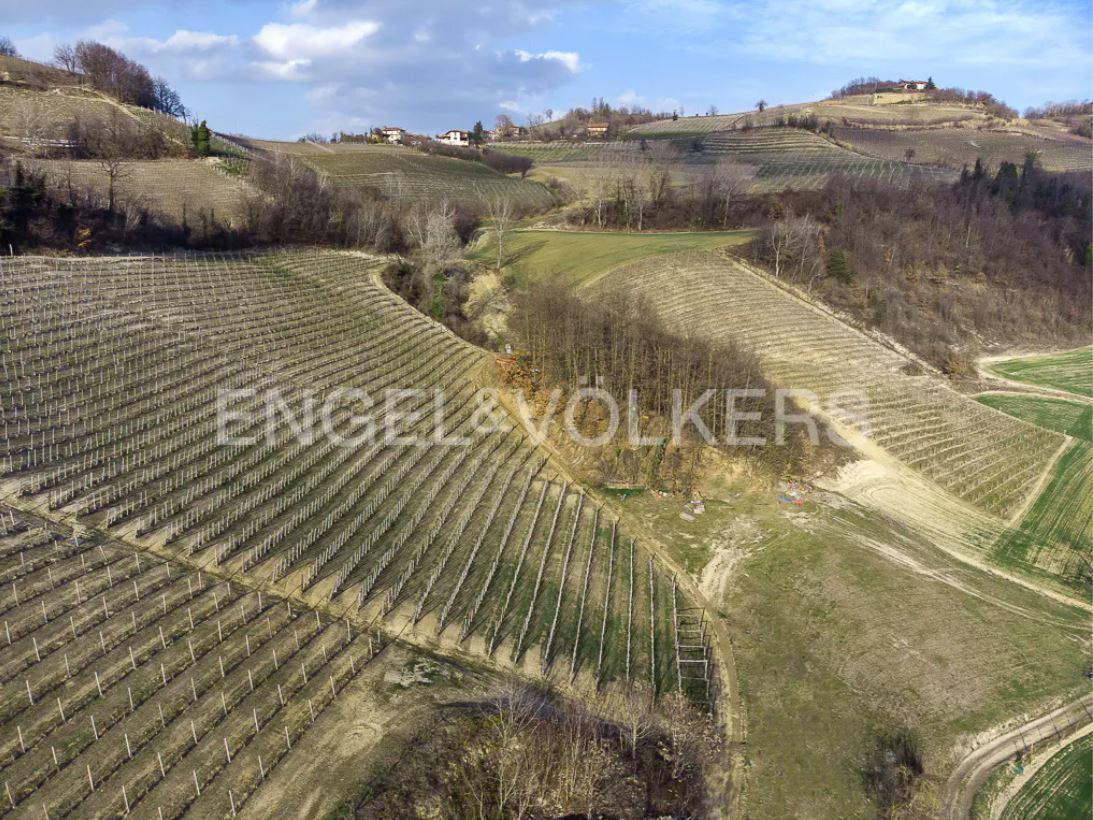 /api/file/public/263387/22219