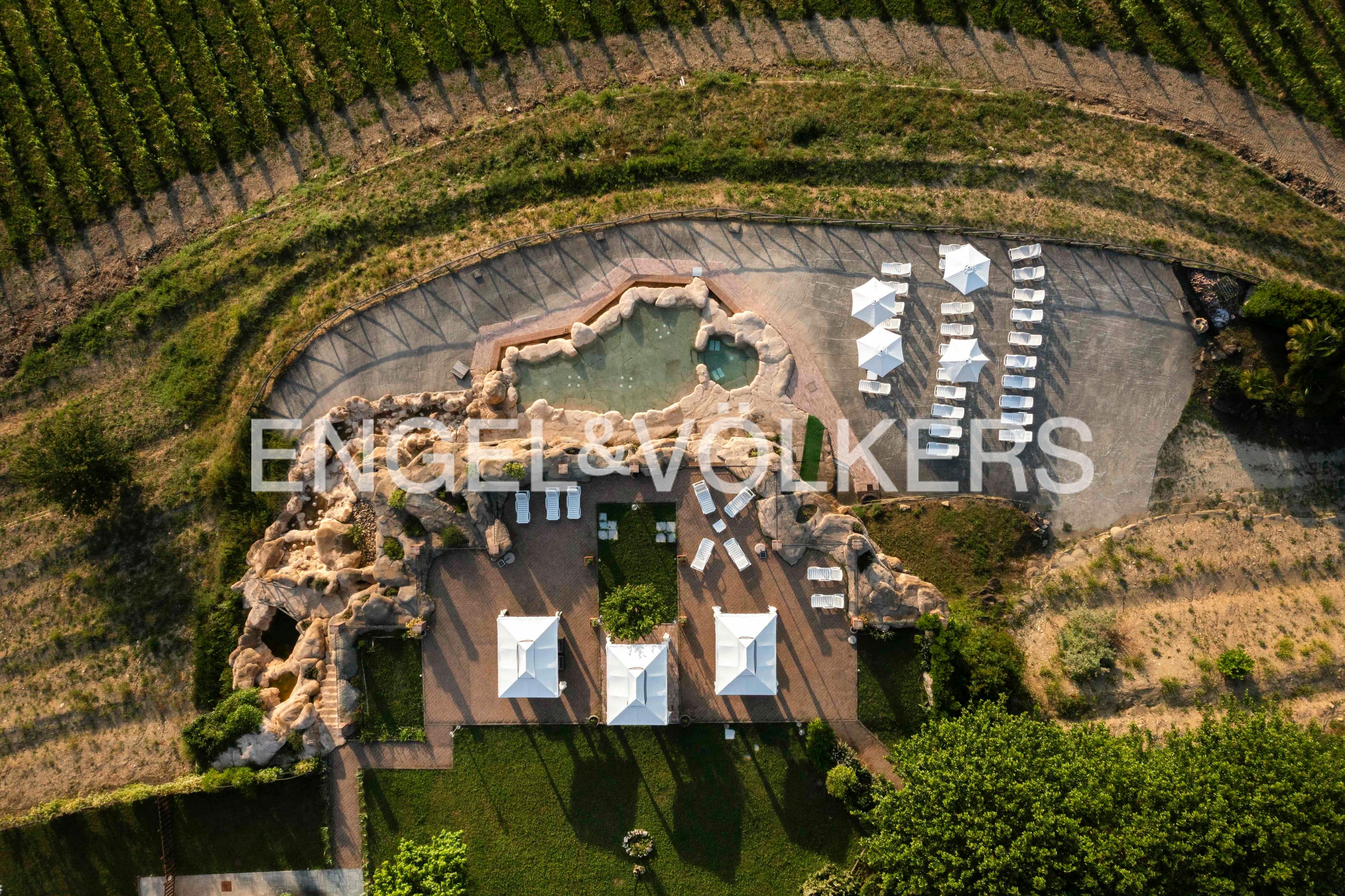 /api/file/public/263393/24020