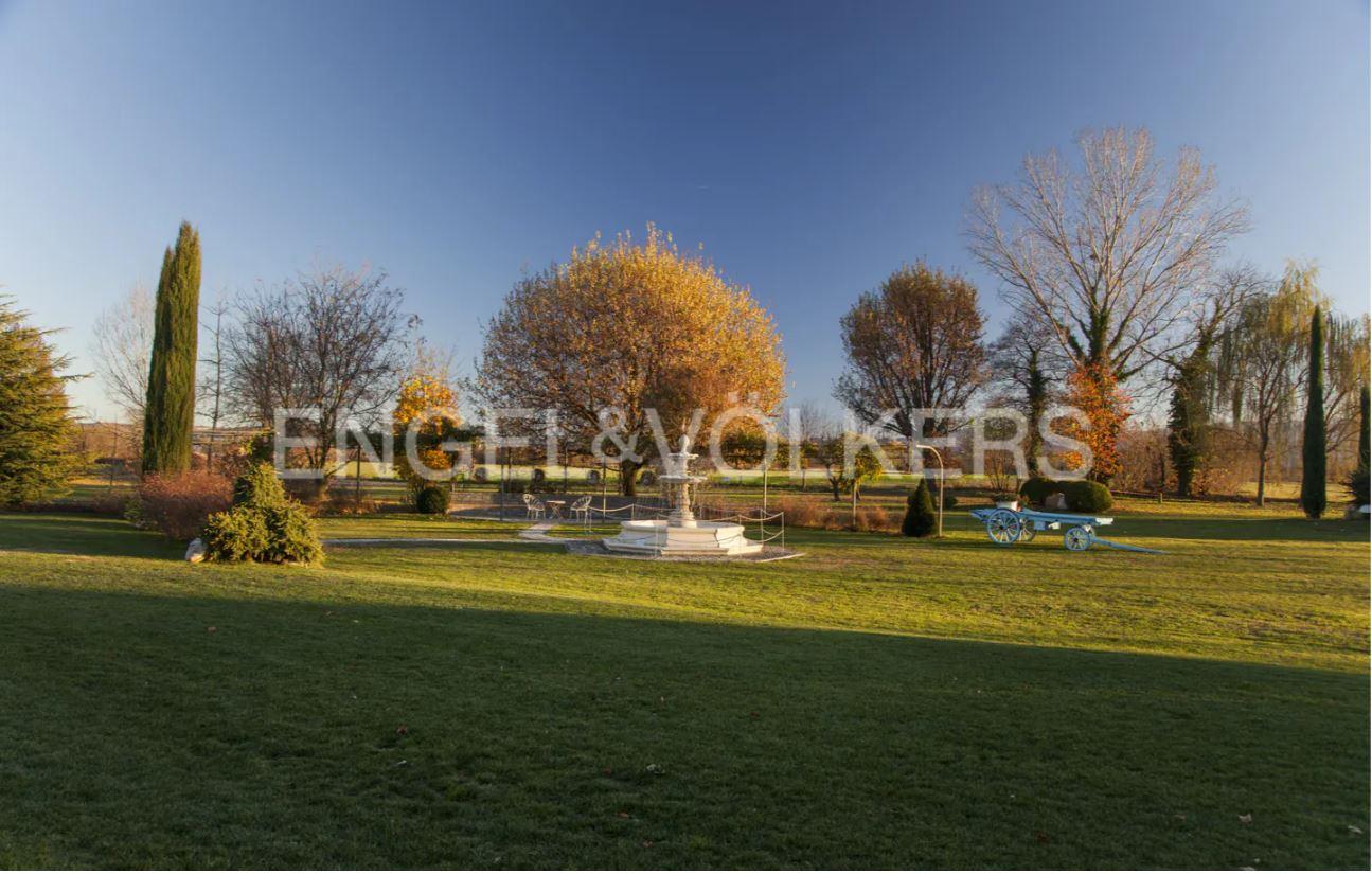 /api/file/public/263395/22243