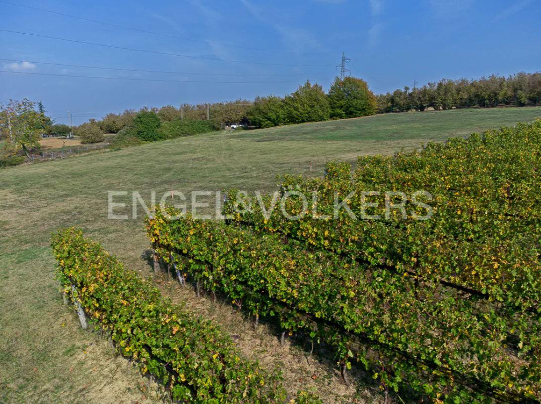 /api/file/public/263396/22247