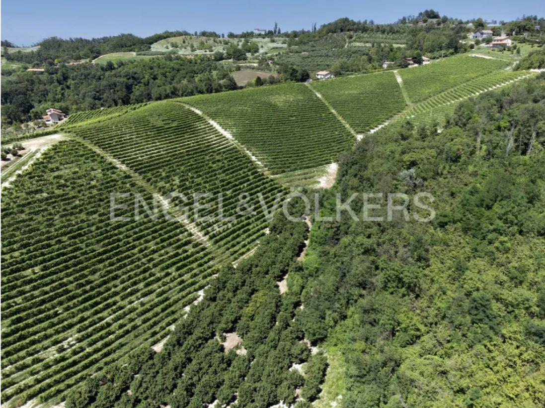 /api/file/public/263405/22315