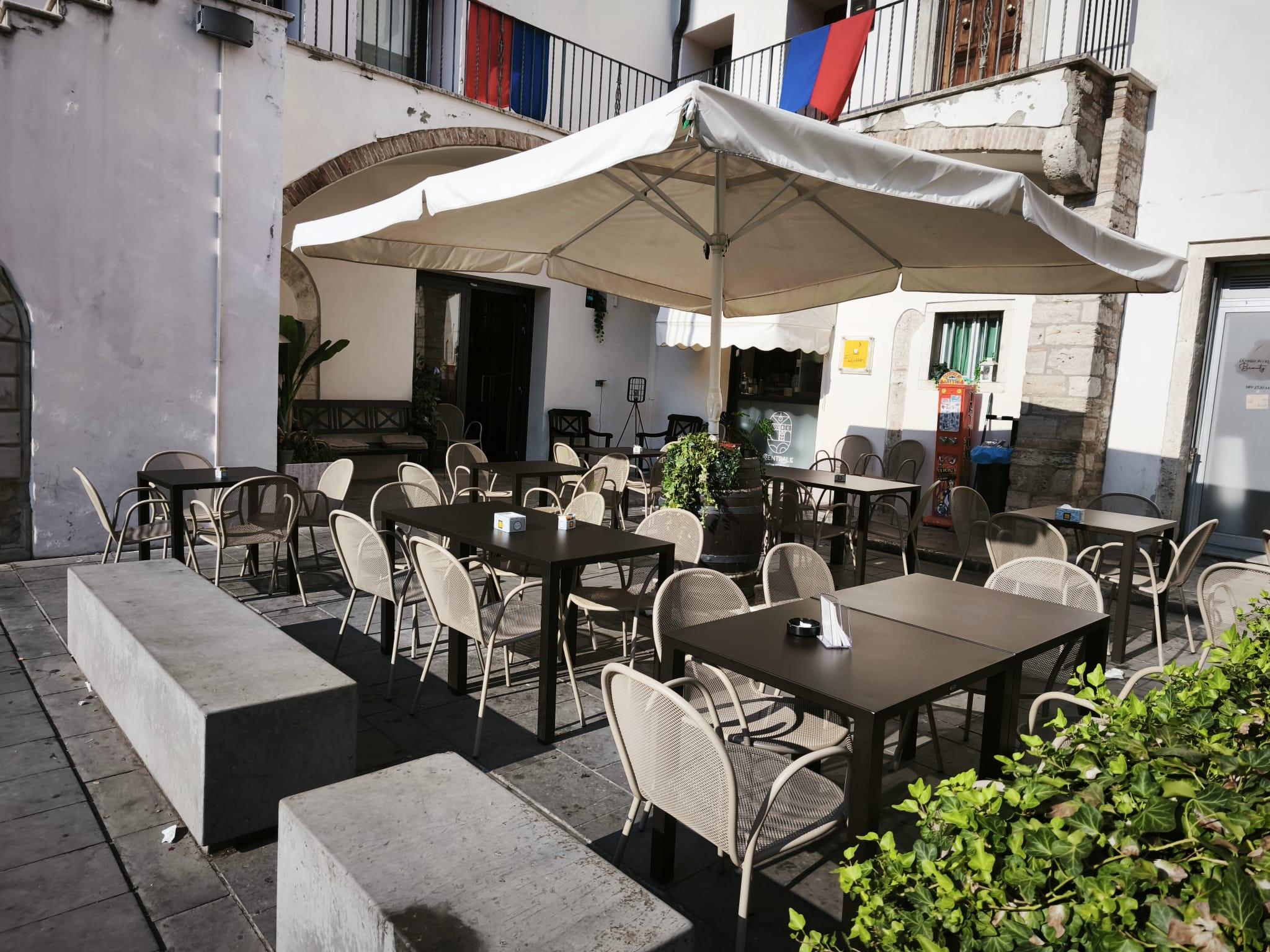 /api/file/public/263523/25445