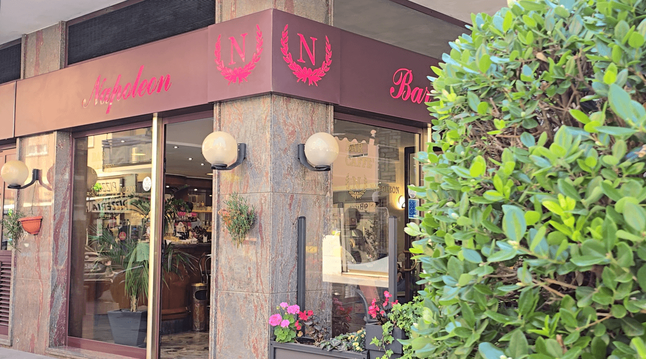 /api/file/public/263528/22743