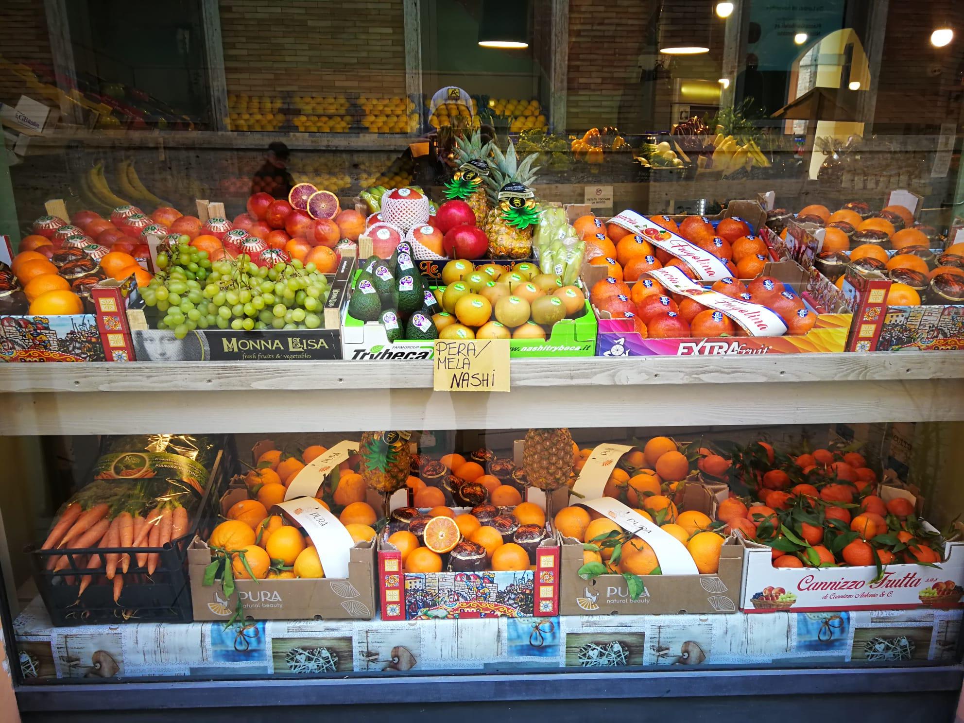 /api/file/public/263615/22980