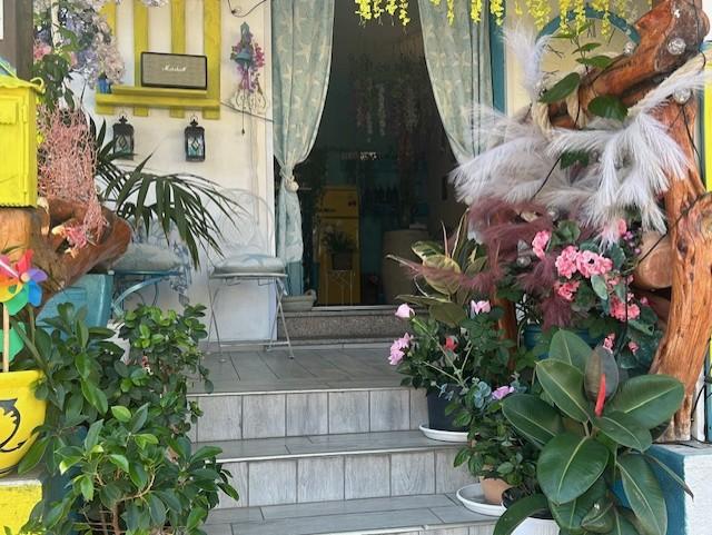 /api/file/public/263623/23072