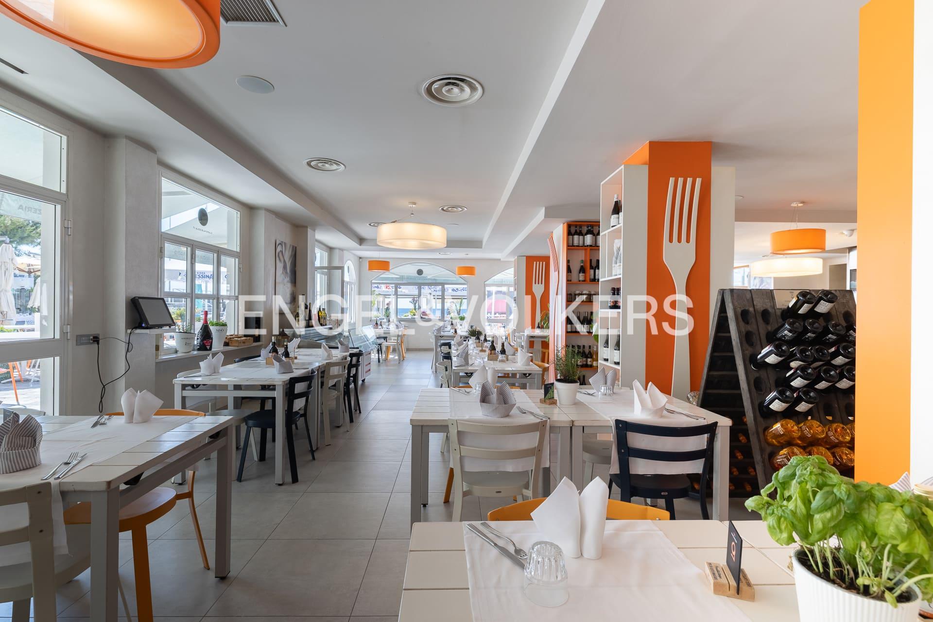 /api/file/public/263634/23553