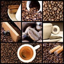 /api/file/public/263721/23303