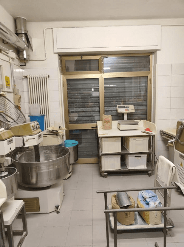 /api/file/public/263859/23706