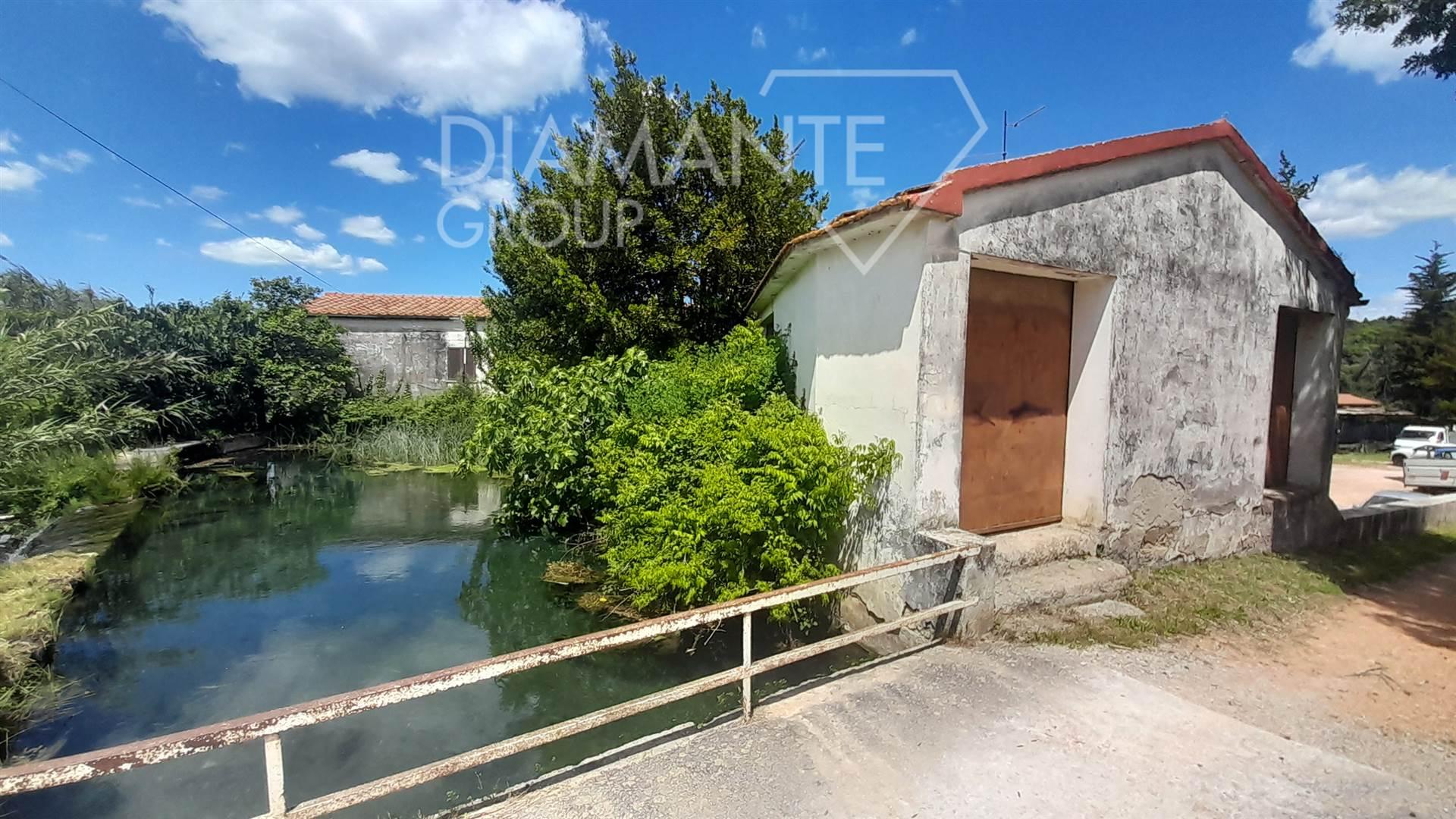 /api/file/public/263872/23766