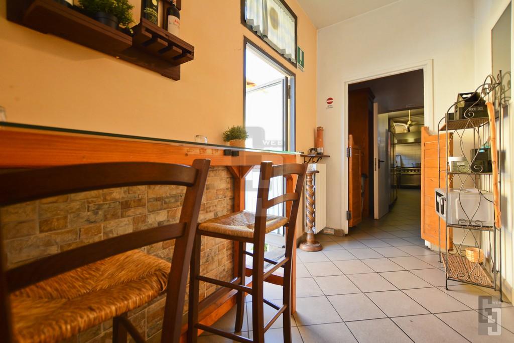 /api/file/public/263904/24097