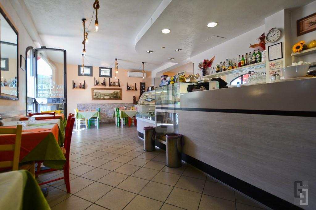 /api/file/public/263904/24098