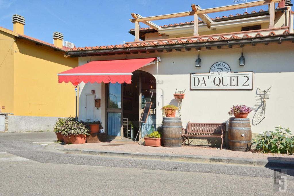 /api/file/public/263904/24101