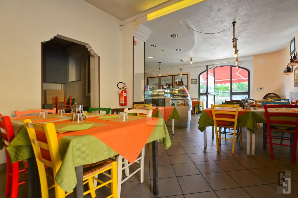 /api/file/public/263904/24104