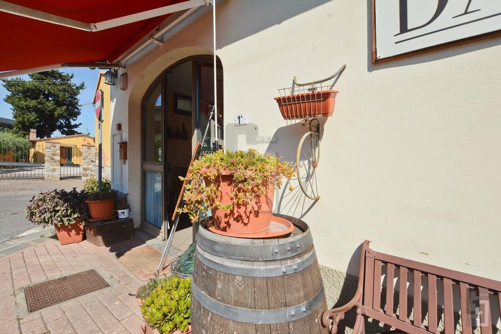 /api/file/public/263904/24113