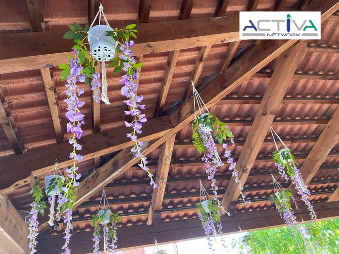 /api/file/public/263908/24047