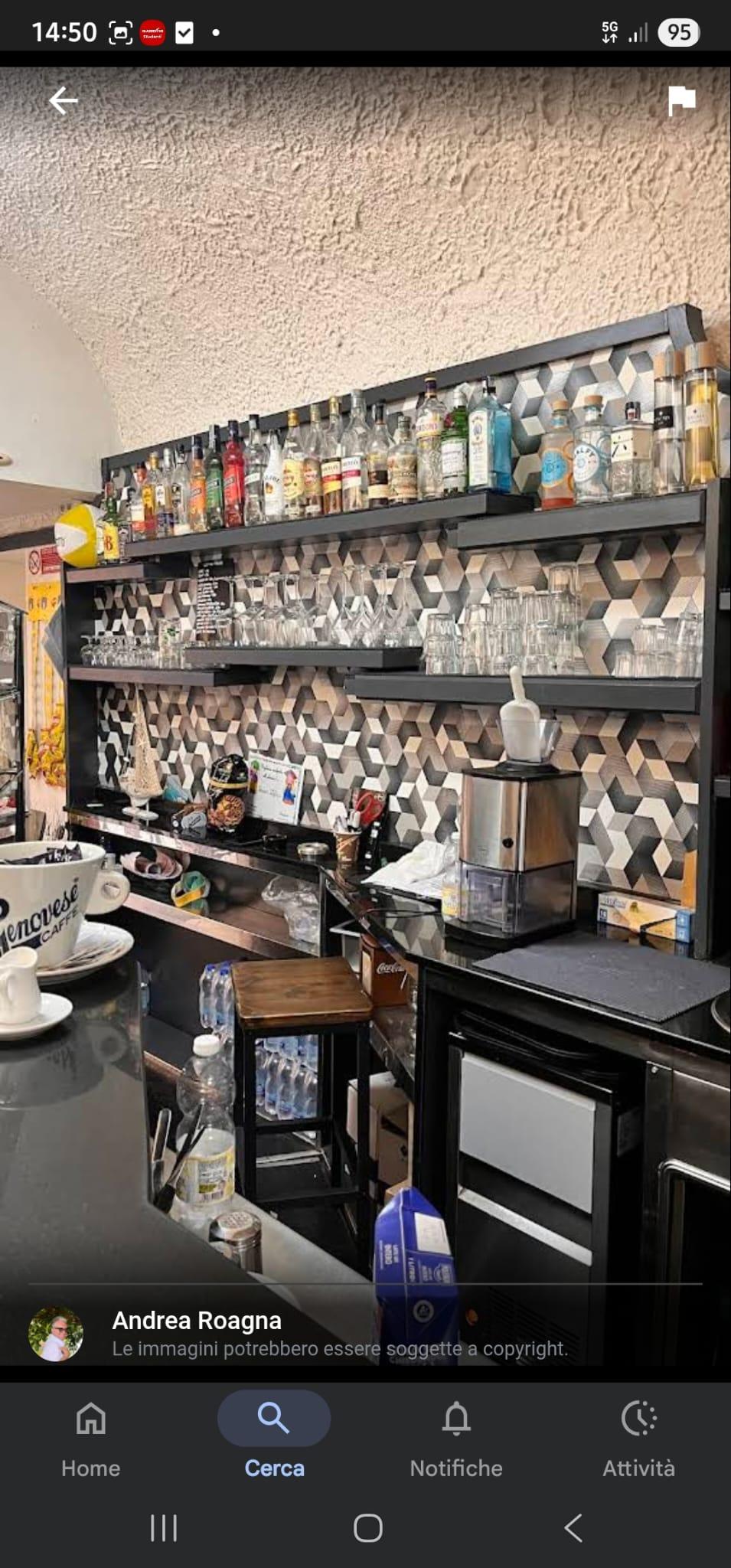 /api/file/public/264057/24299