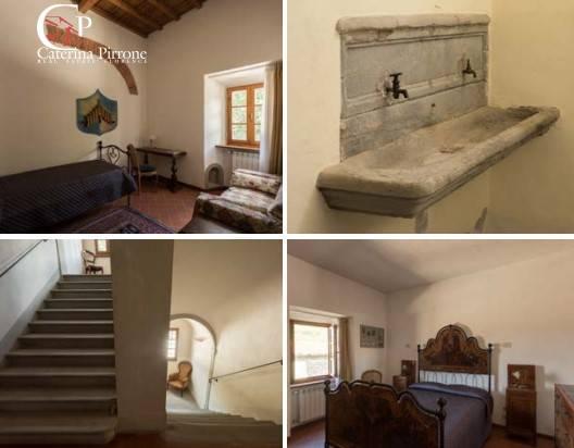 /api/file/public/264112/24310