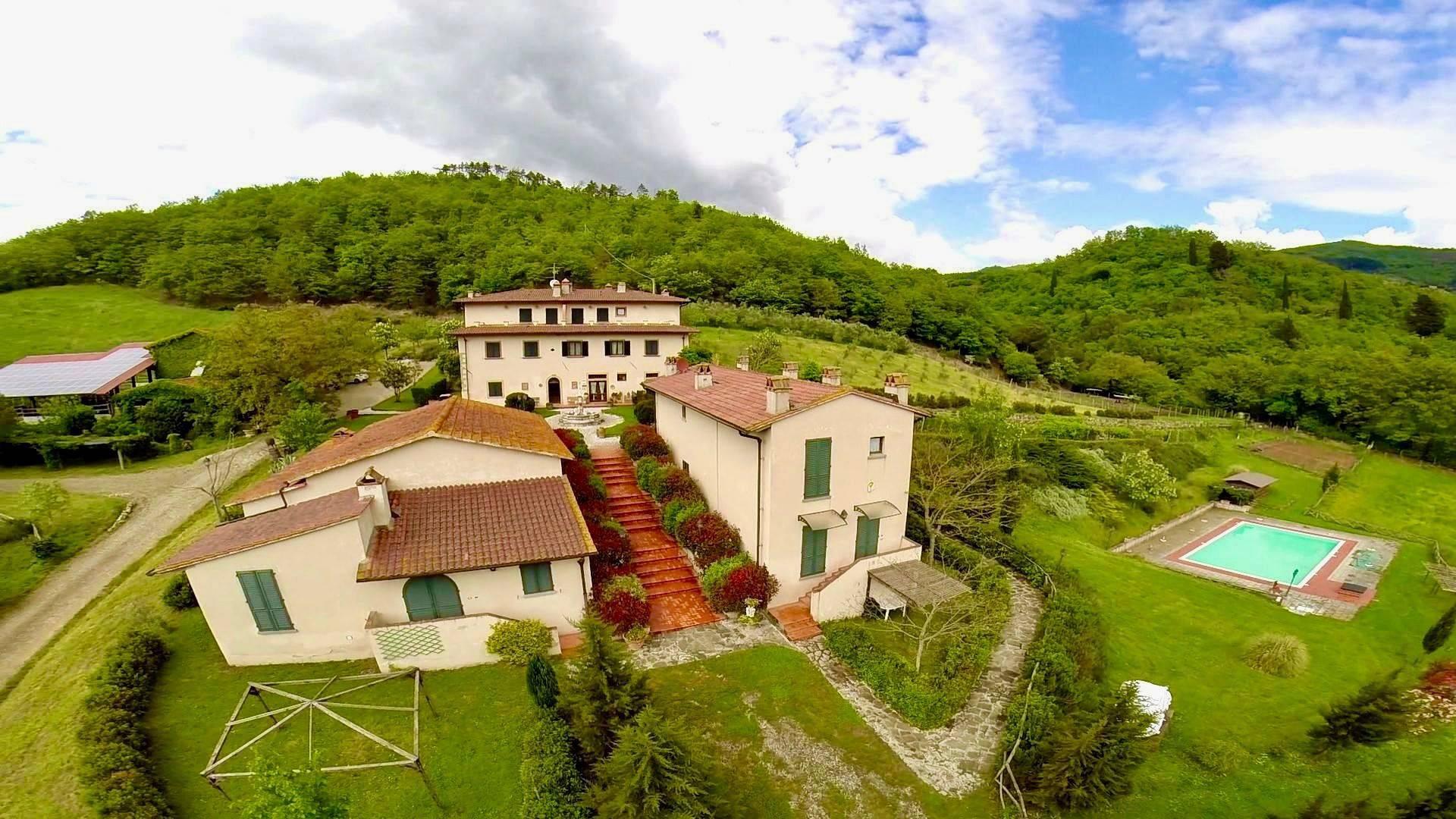 /api/file/public/264116/24316