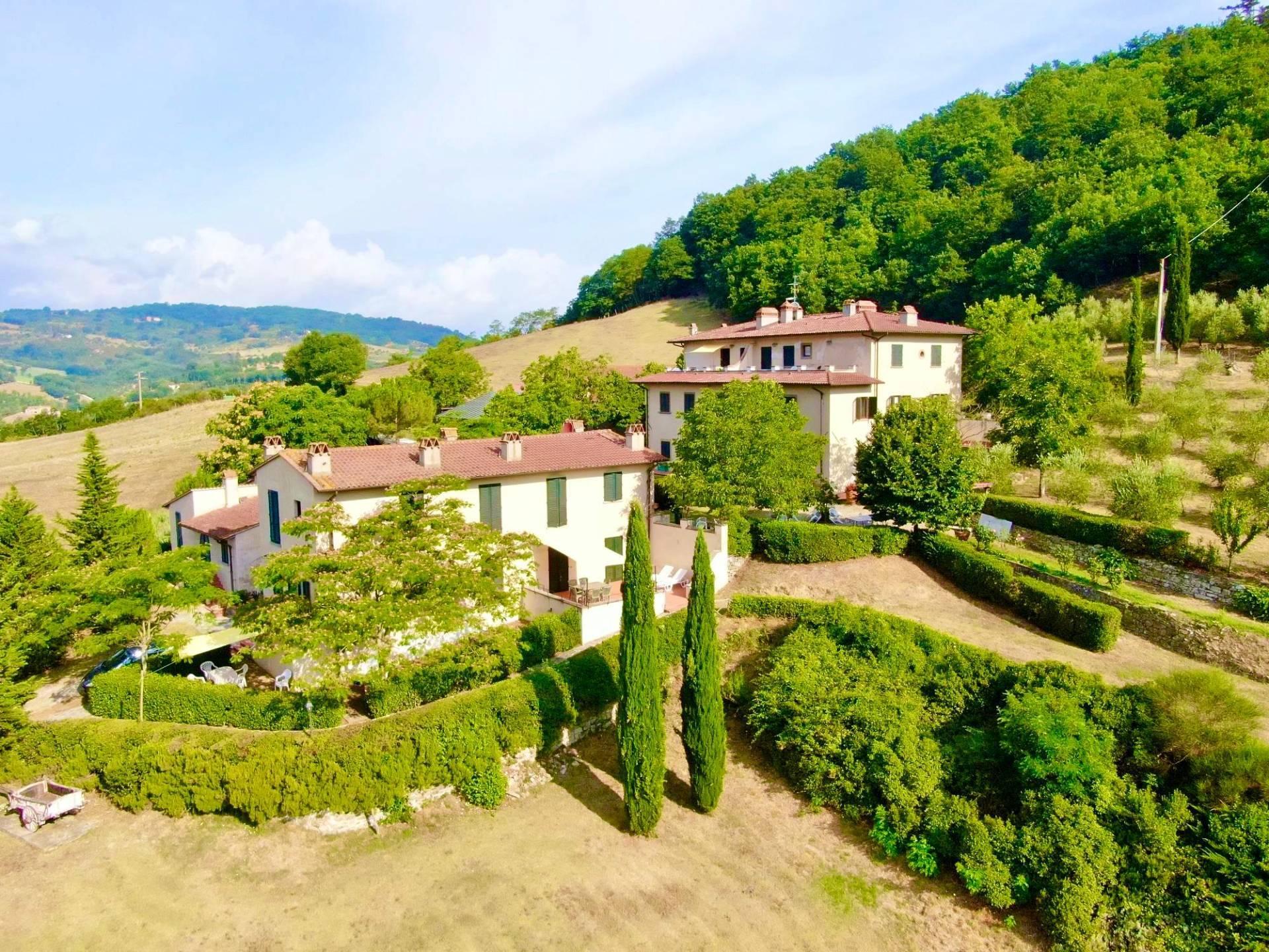 /api/file/public/264116/24317